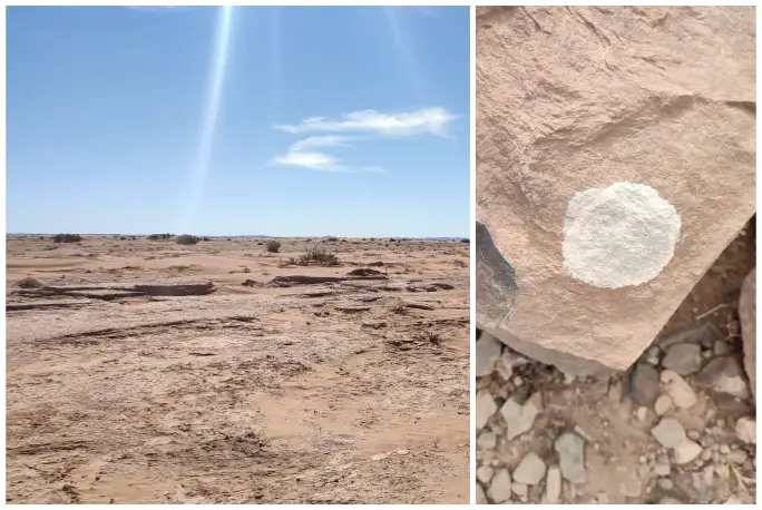 Guide pointing out lichen formations in the Sahara desert